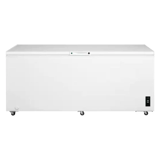 largest-deep-freezer-1.webp