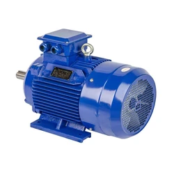 Ac Water Pump Motor, Cast iron unit, back chamber
