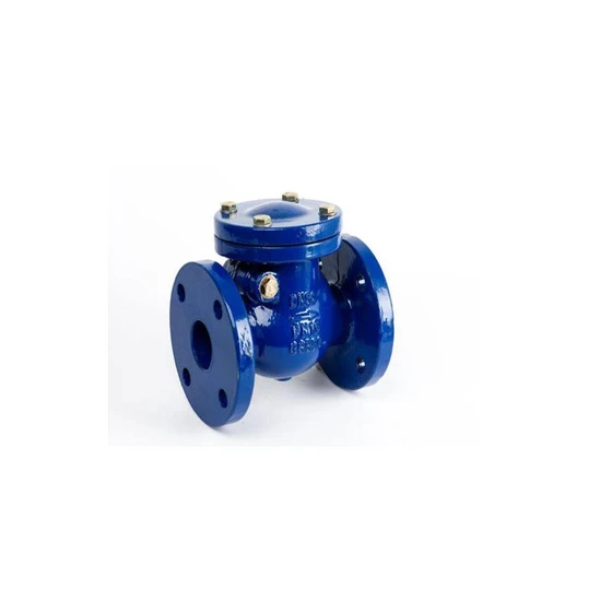 non-return-ci-valves-2.webp