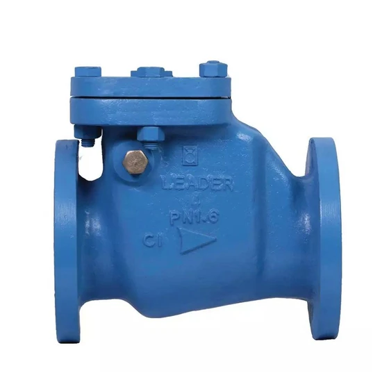 cast-iron-reflux-valve-2.webp