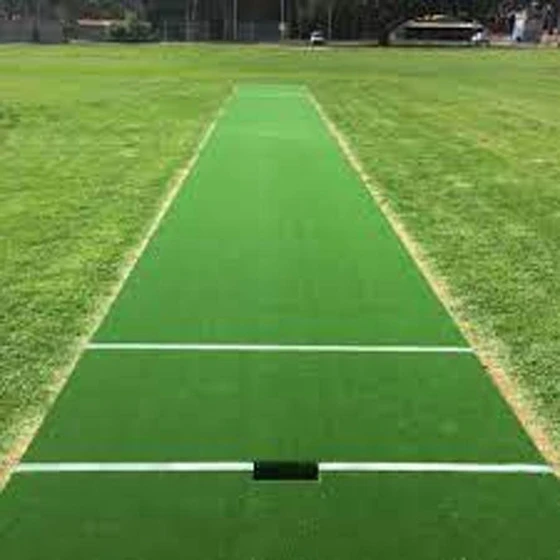 cricket-turf-pitch-2.webp