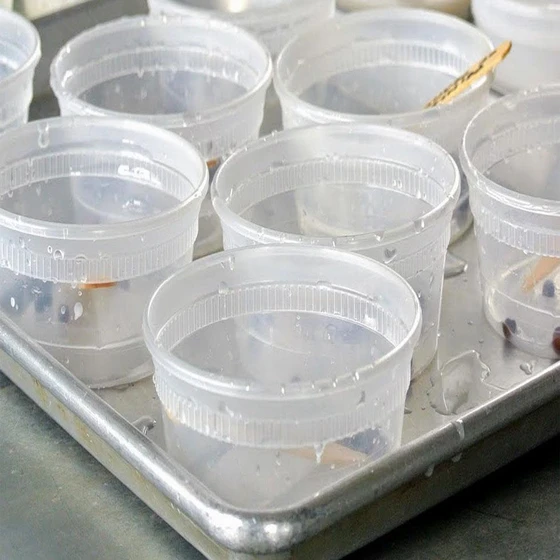 small-plastic-containers-for-sweets-2.webp