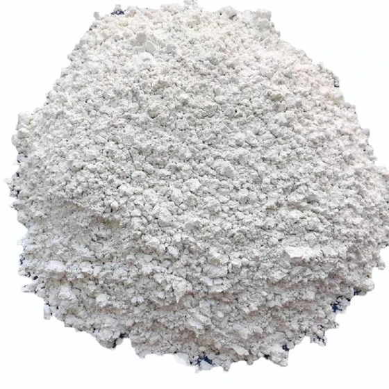 pharmaceutical-grade-limestone-powder-1.webp