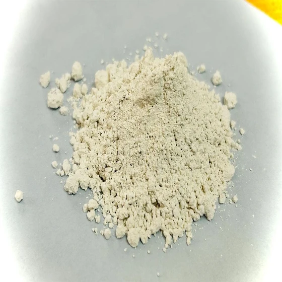 pharmaceutical-grade-limestone-powder-2.webp