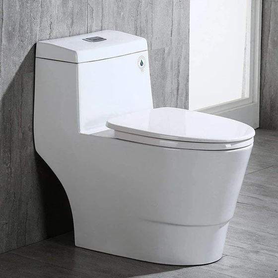 one-piece-toilet-2.webp