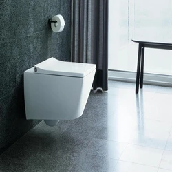 Mounted Sanitary Toilet 