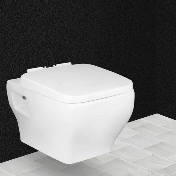 mounted-western-toilet-2.webp