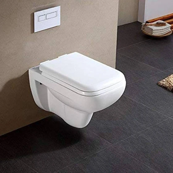 commode-toilet-seat-2.webp