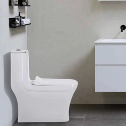 Commode Toilet Seat