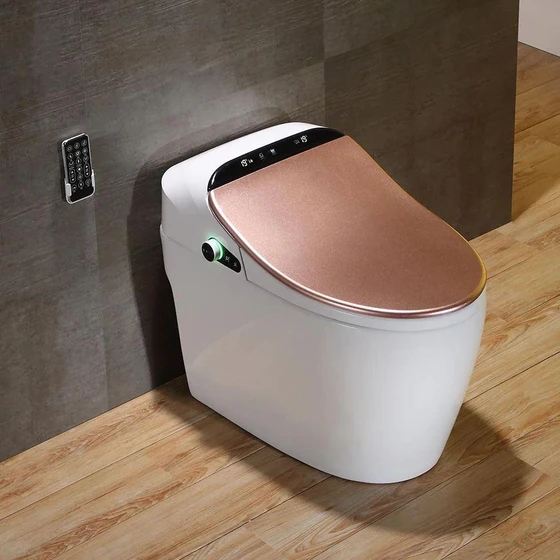 modern-day-bidet-2.webp