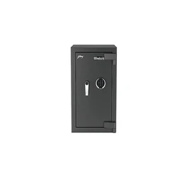 Digital Home Locker