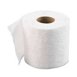 Plain Toilet Paper Roll