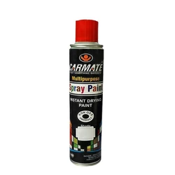 Drying Spray Paint