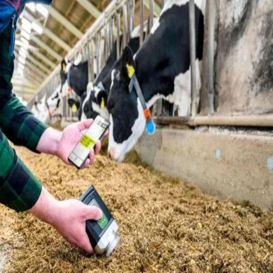 cattle-feed-testing-services-1.webp