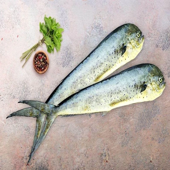 mahi-mahi-fish-2.webp