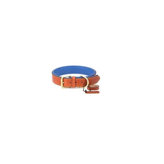 dog-collar-2.webp