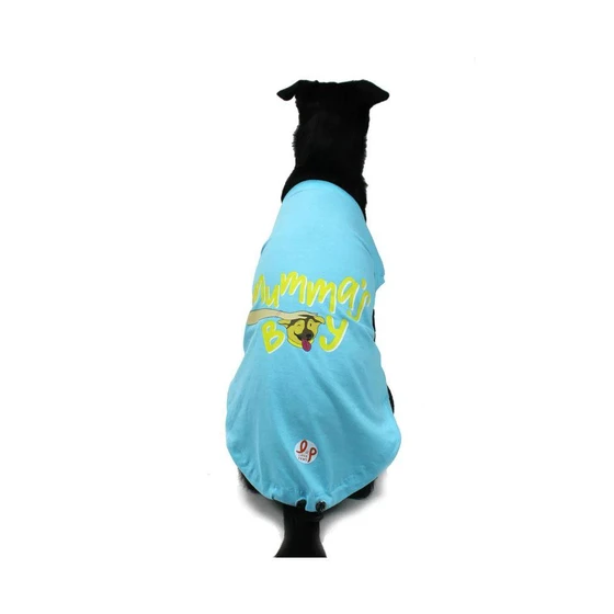 dog-clothes-2.webp