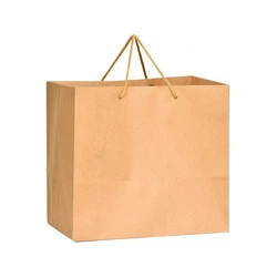 Plain Paper Bag