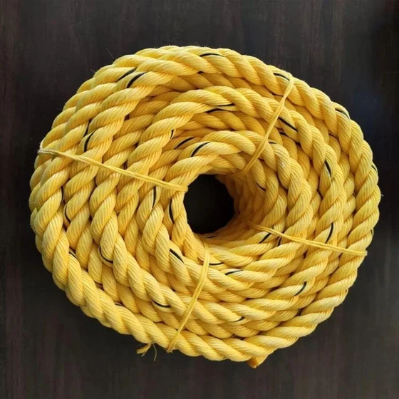 danline-pp-ropes-2.webp