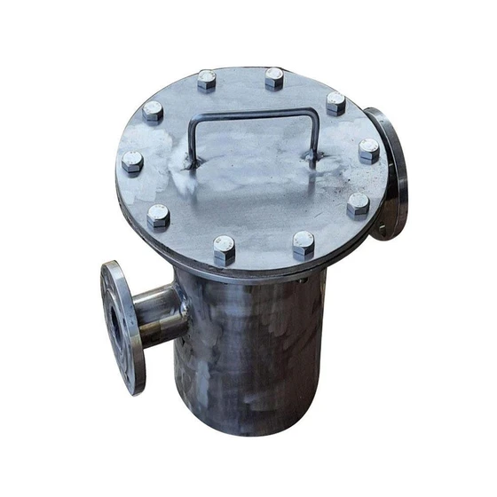 water-basket-strainer-2.webp