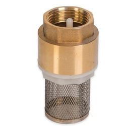Gun Metal Suction Strainer