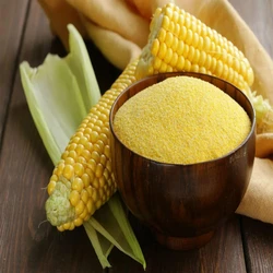 Animal Feed Maize