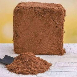 Solid Cocopeat Bricks