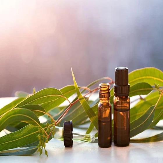 eucalyptus-oil-liquid-2.webp
