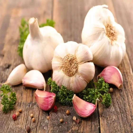 common-fresh-garlic-2.webp