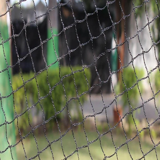 anti-bird-net-2.webp