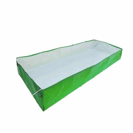 green-azolla-bed-2.webp