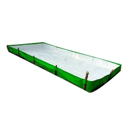 Green Azolla Bed