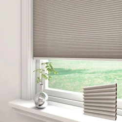 Honeycomb Window Blinds
