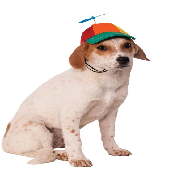pet-multicolour-cap-2.webp