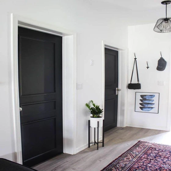 hollow-core-doors-2.webp