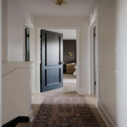 Hollow Core Doors 