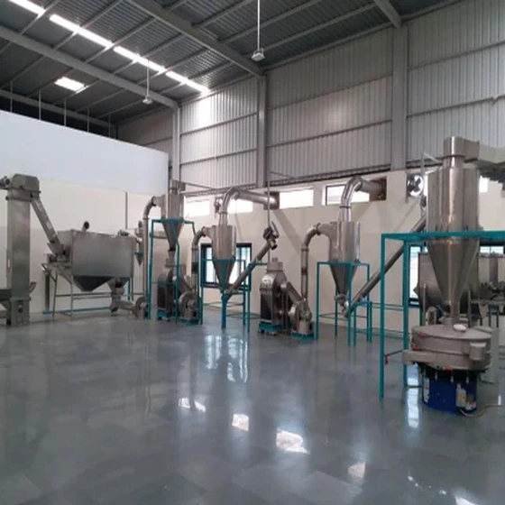 spices-processing-plant-1.webp