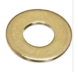 Plain Brass Washer