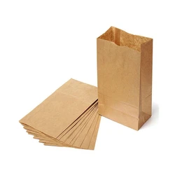 Brown Paper Pouchs