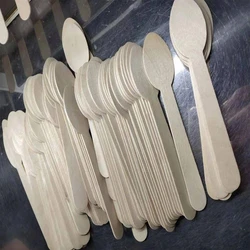 Disposable Customized Cutlery