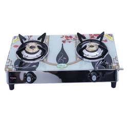 Double Gas Stove Burner