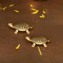 Polished Brass Tortoise