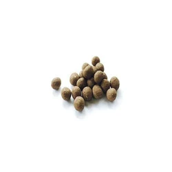 Tree Seed Balls 