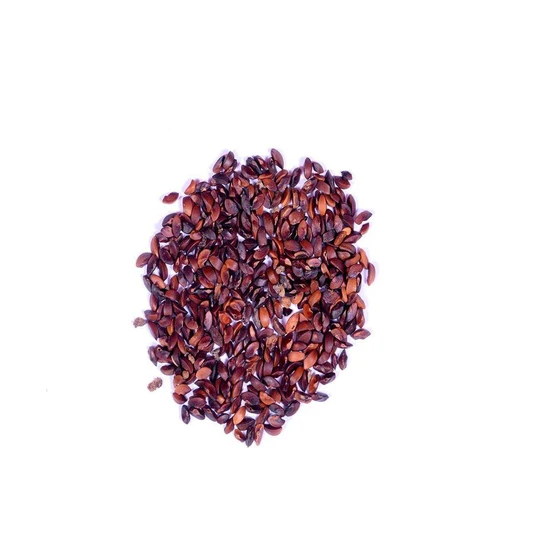 gooseberry-tree-seed-2.webp