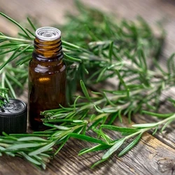 Oil Rosemary Essential 