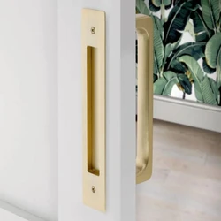 Flush Door Handle