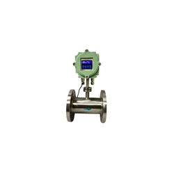 Flameproof Cng Flow Meter