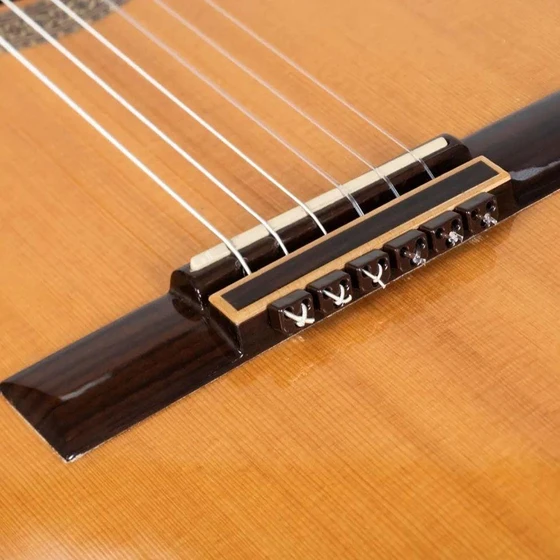 polished-guitar-string-1.webp
