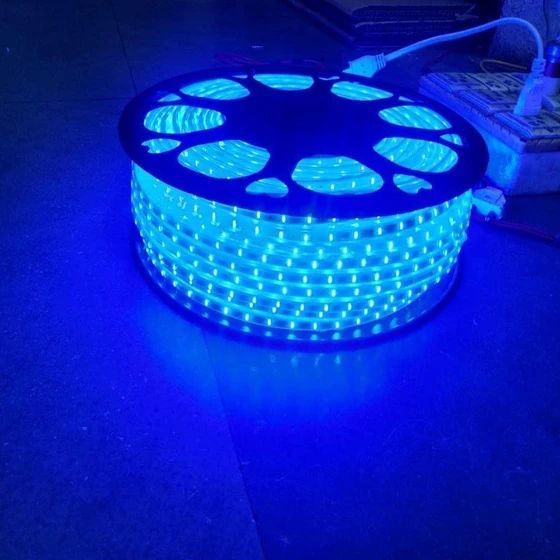 blue-led-rope-light-1.webp