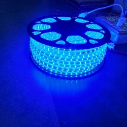 Blue Led Rope Light